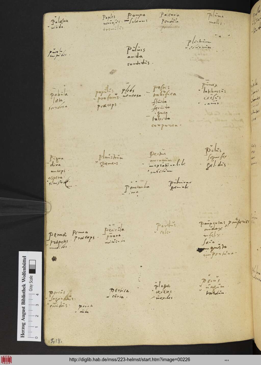 http://diglib.hab.de/mss/223-helmst/00226.jpg