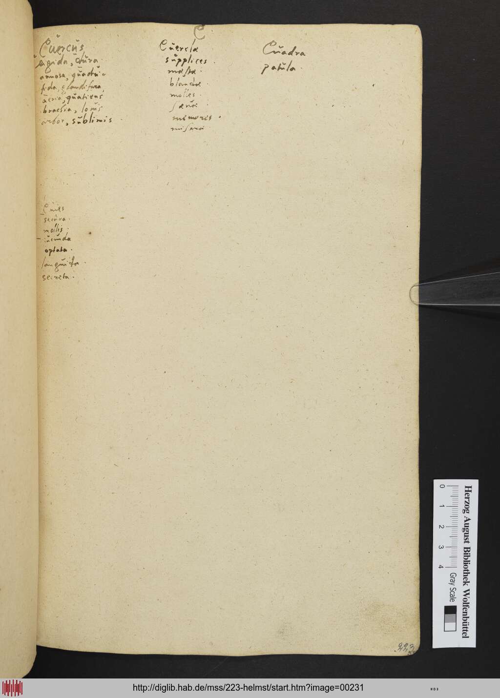 http://diglib.hab.de/mss/223-helmst/00231.jpg