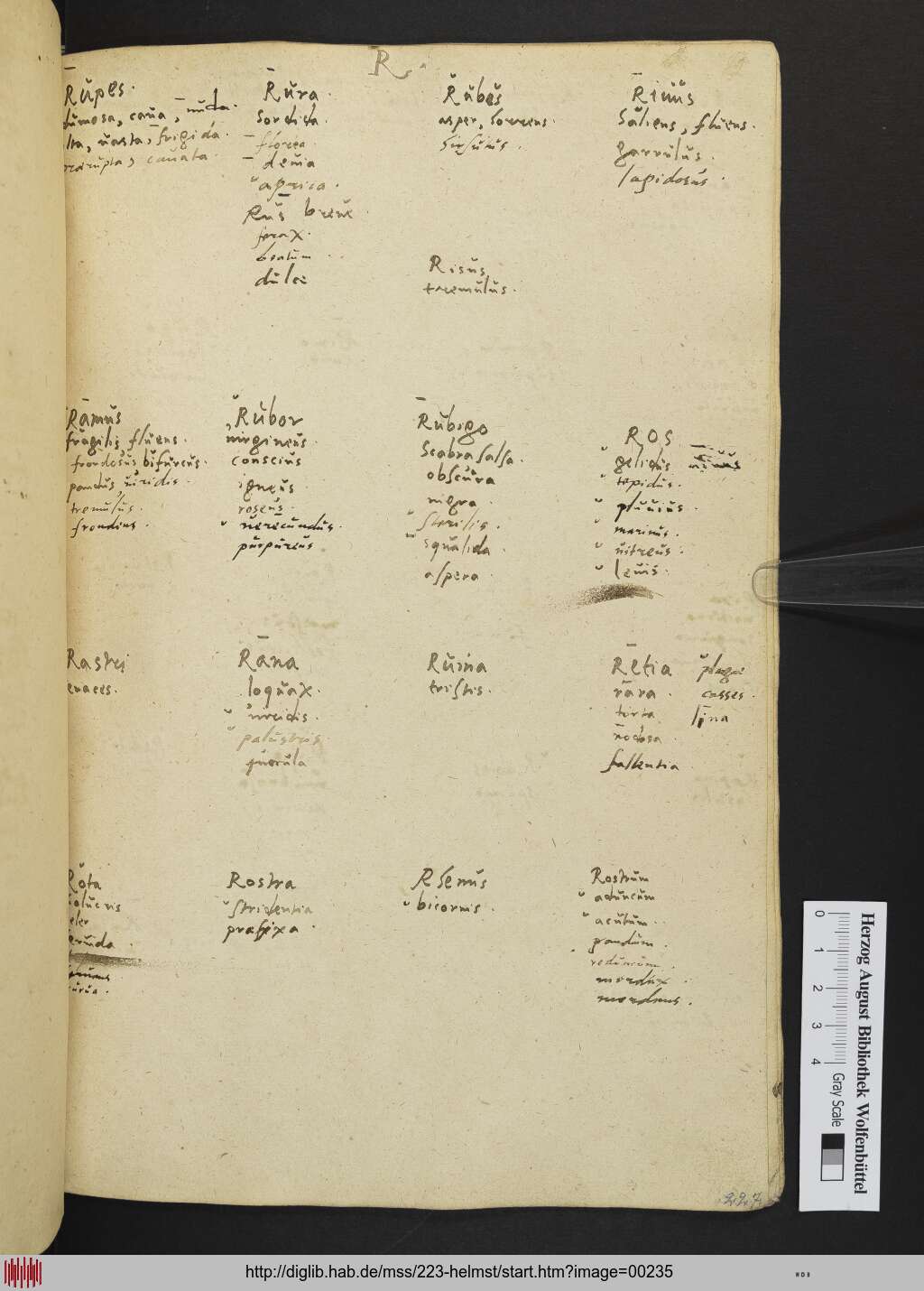 http://diglib.hab.de/mss/223-helmst/00235.jpg