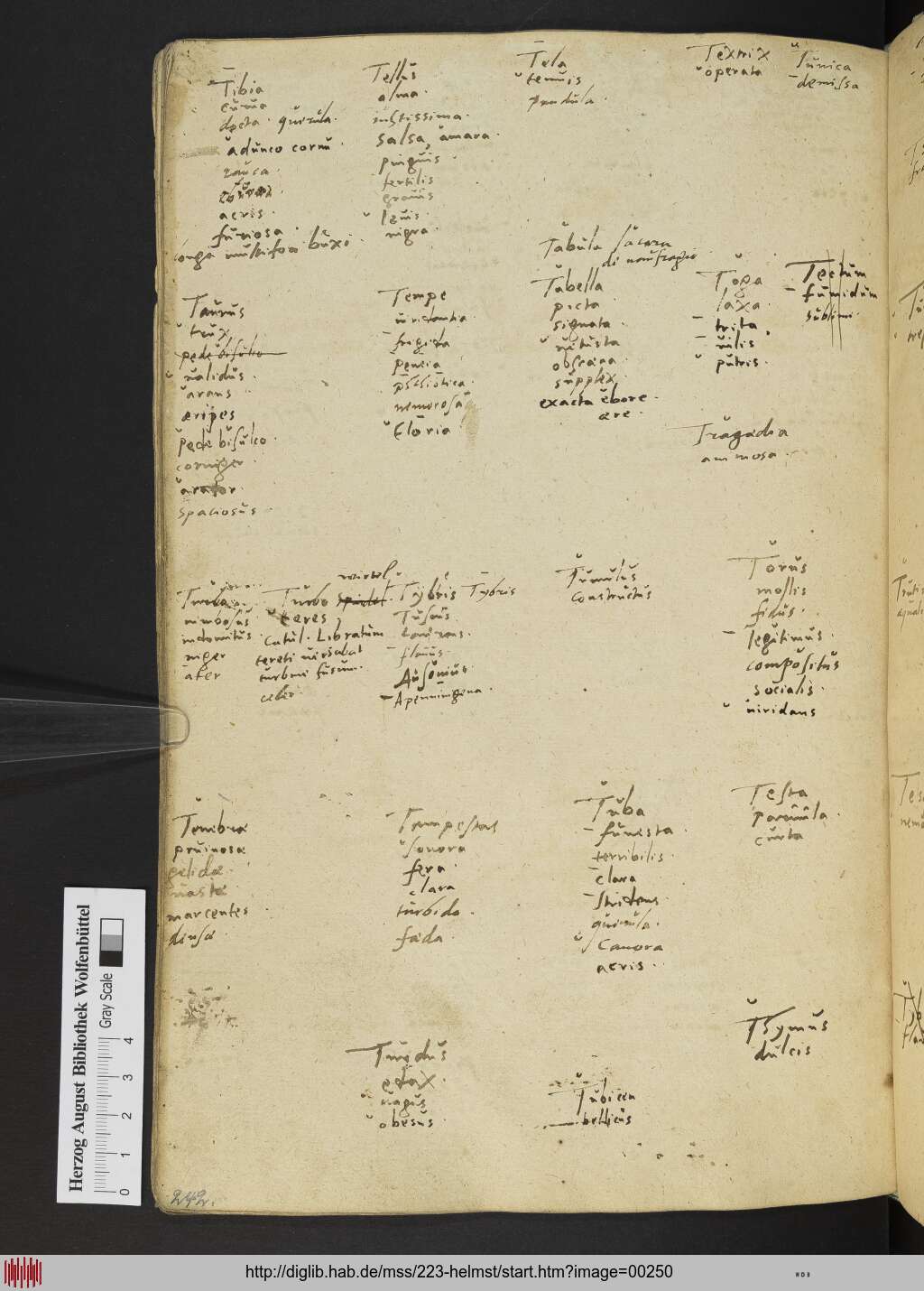 http://diglib.hab.de/mss/223-helmst/00250.jpg