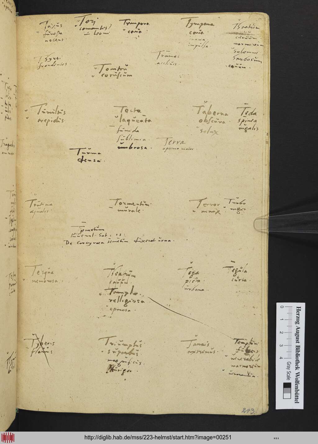 http://diglib.hab.de/mss/223-helmst/00251.jpg