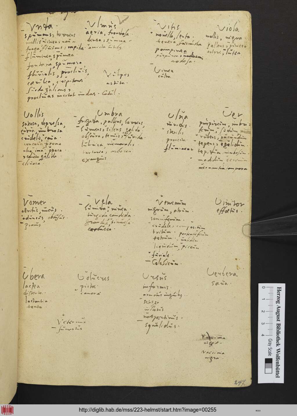 http://diglib.hab.de/mss/223-helmst/00255.jpg