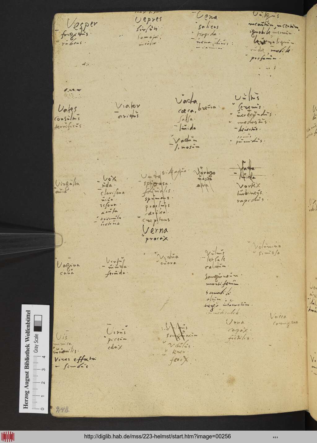 http://diglib.hab.de/mss/223-helmst/00256.jpg