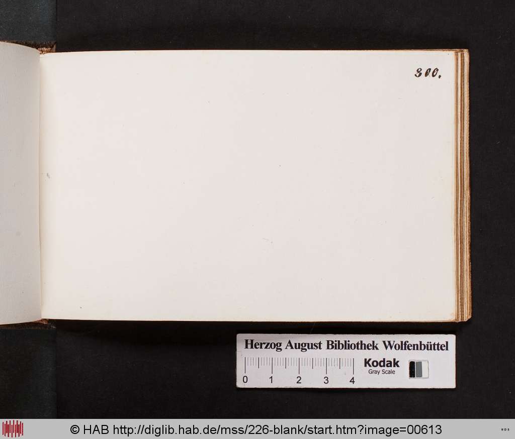 http://diglib.hab.de/mss/226-blank/00613.jpg