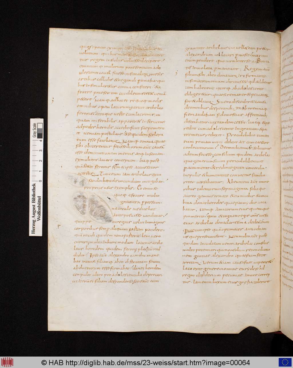 http://diglib.hab.de/mss/23-weiss/00064.jpg