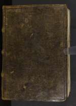 Cod. Guelf. 230 Blank.