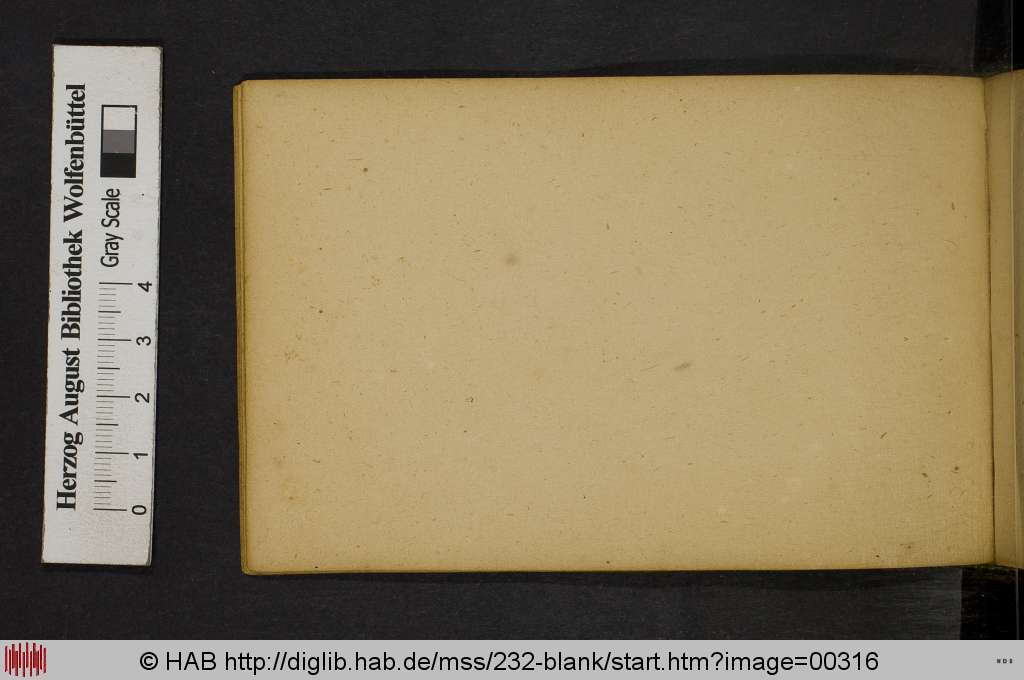 http://diglib.hab.de/mss/232-blank/00316.jpg