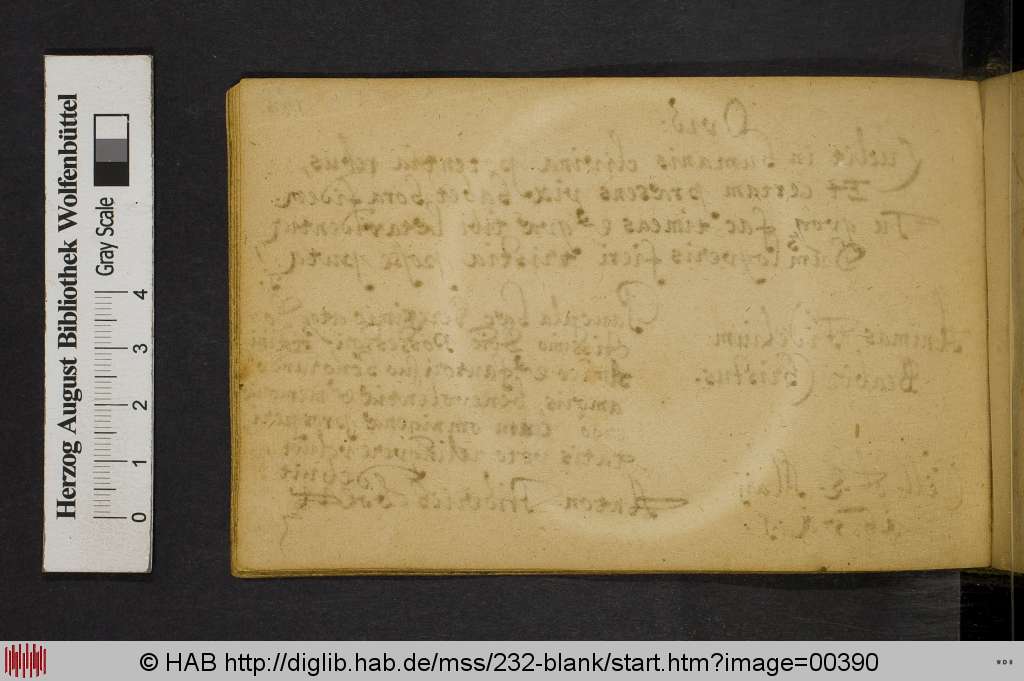 http://diglib.hab.de/mss/232-blank/00390.jpg
