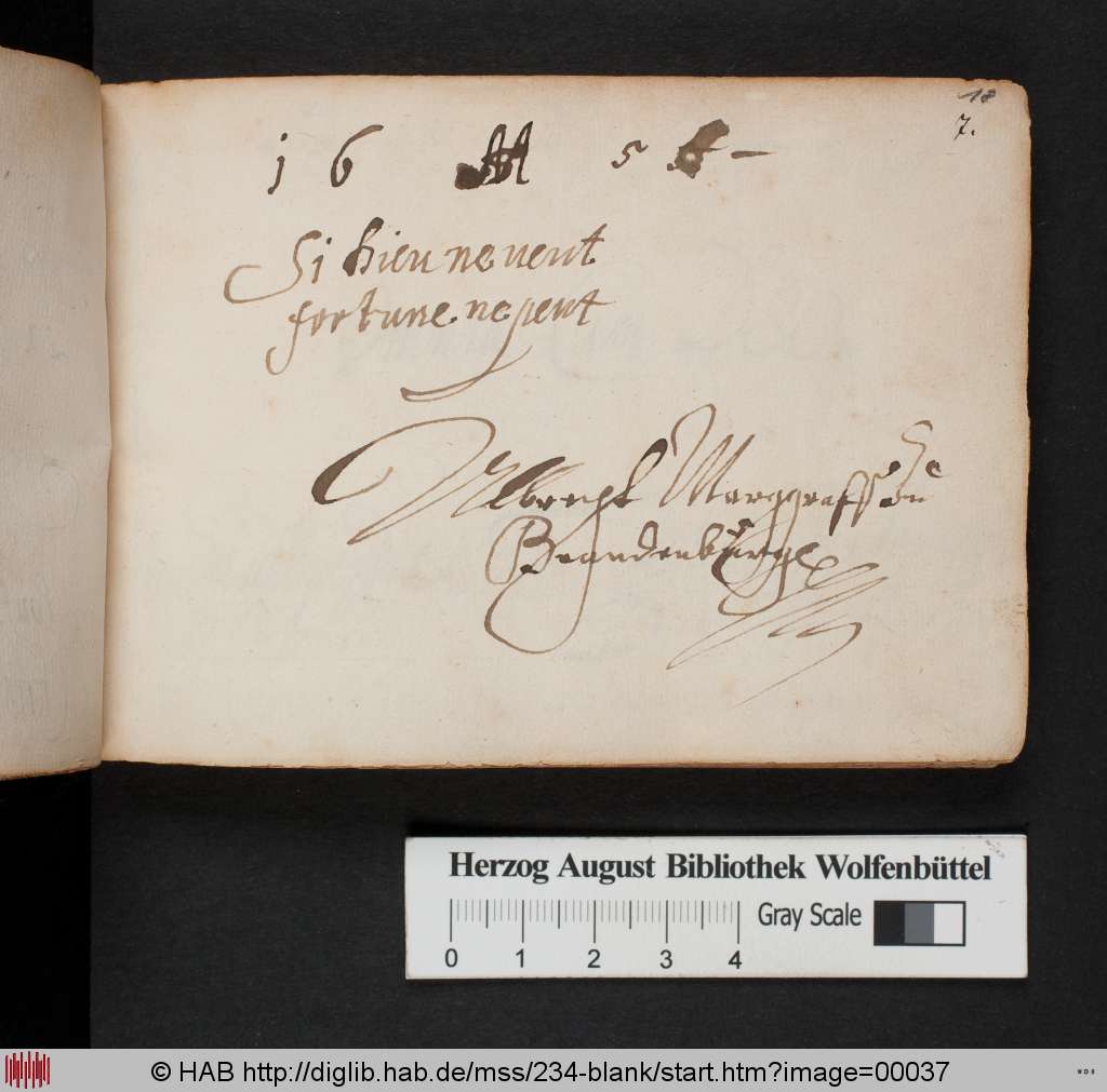 http://diglib.hab.de/mss/234-blank/00037.jpg