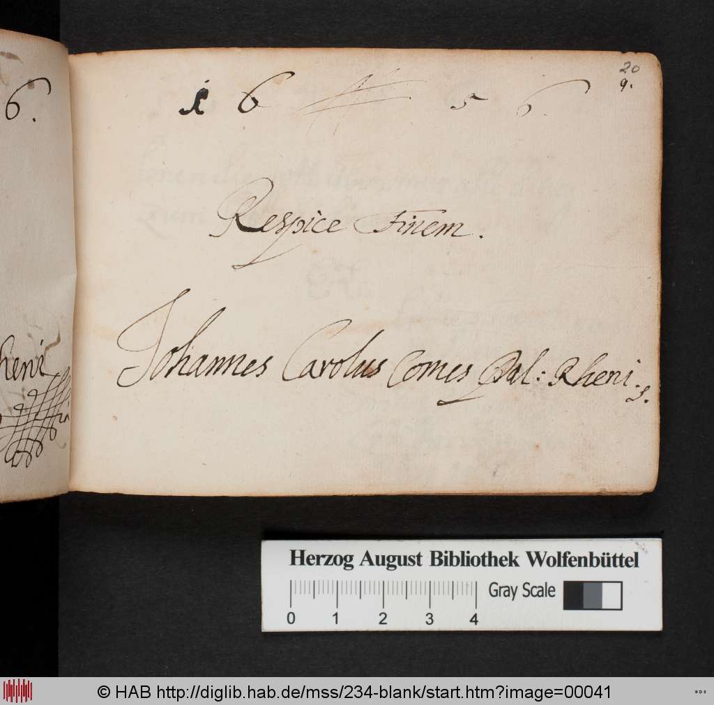 http://diglib.hab.de/mss/234-blank/00041.jpg