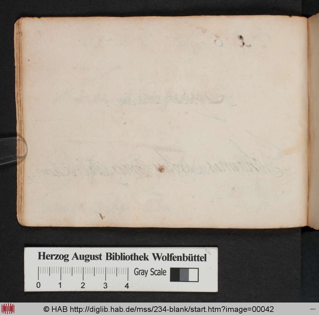 http://diglib.hab.de/mss/234-blank/00042.jpg