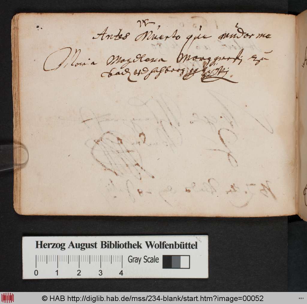 http://diglib.hab.de/mss/234-blank/00052.jpg