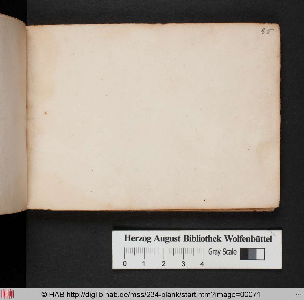 http://diglib.hab.de/mss/234-blank/00071.jpg
