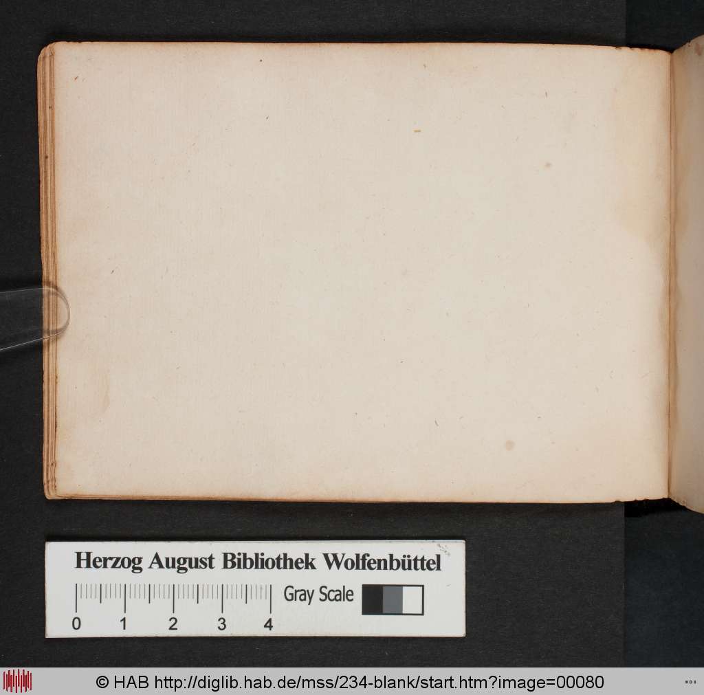 http://diglib.hab.de/mss/234-blank/00080.jpg
