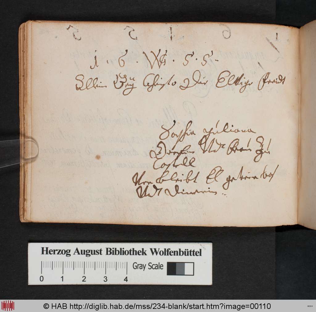 http://diglib.hab.de/mss/234-blank/00110.jpg