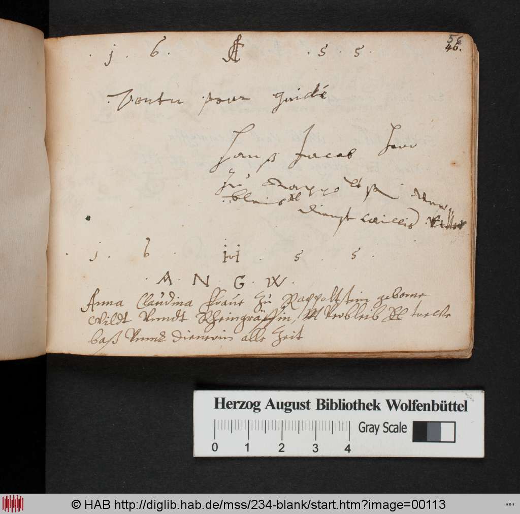 http://diglib.hab.de/mss/234-blank/00113.jpg