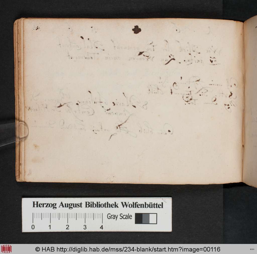 http://diglib.hab.de/mss/234-blank/00116.jpg