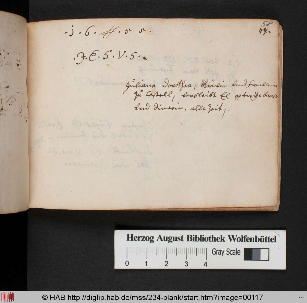 http://diglib.hab.de/mss/234-blank/00117.jpg