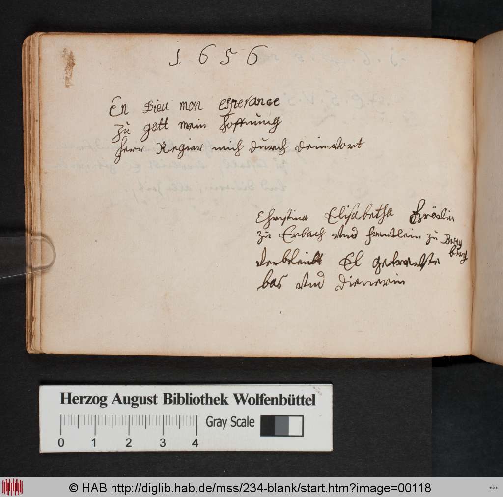 http://diglib.hab.de/mss/234-blank/00118.jpg