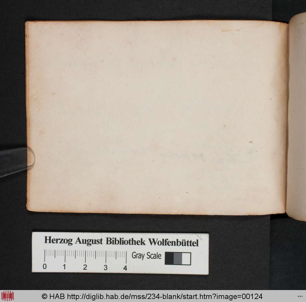 http://diglib.hab.de/mss/234-blank/00124.jpg