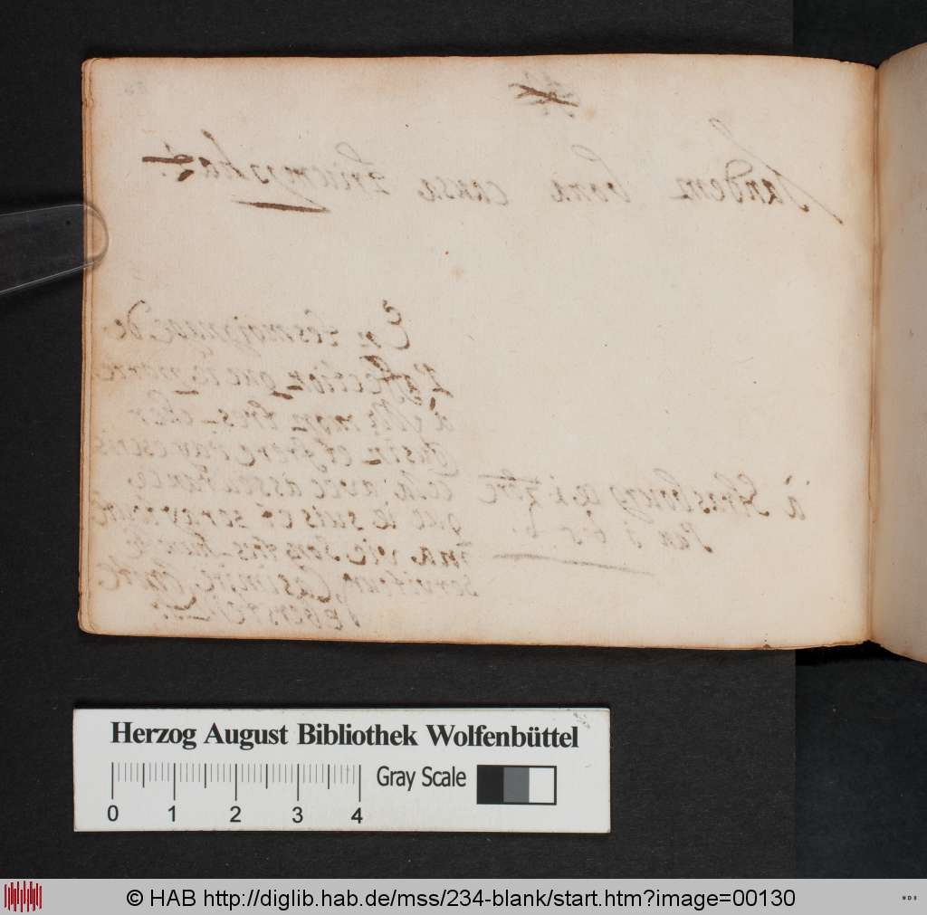http://diglib.hab.de/mss/234-blank/00130.jpg