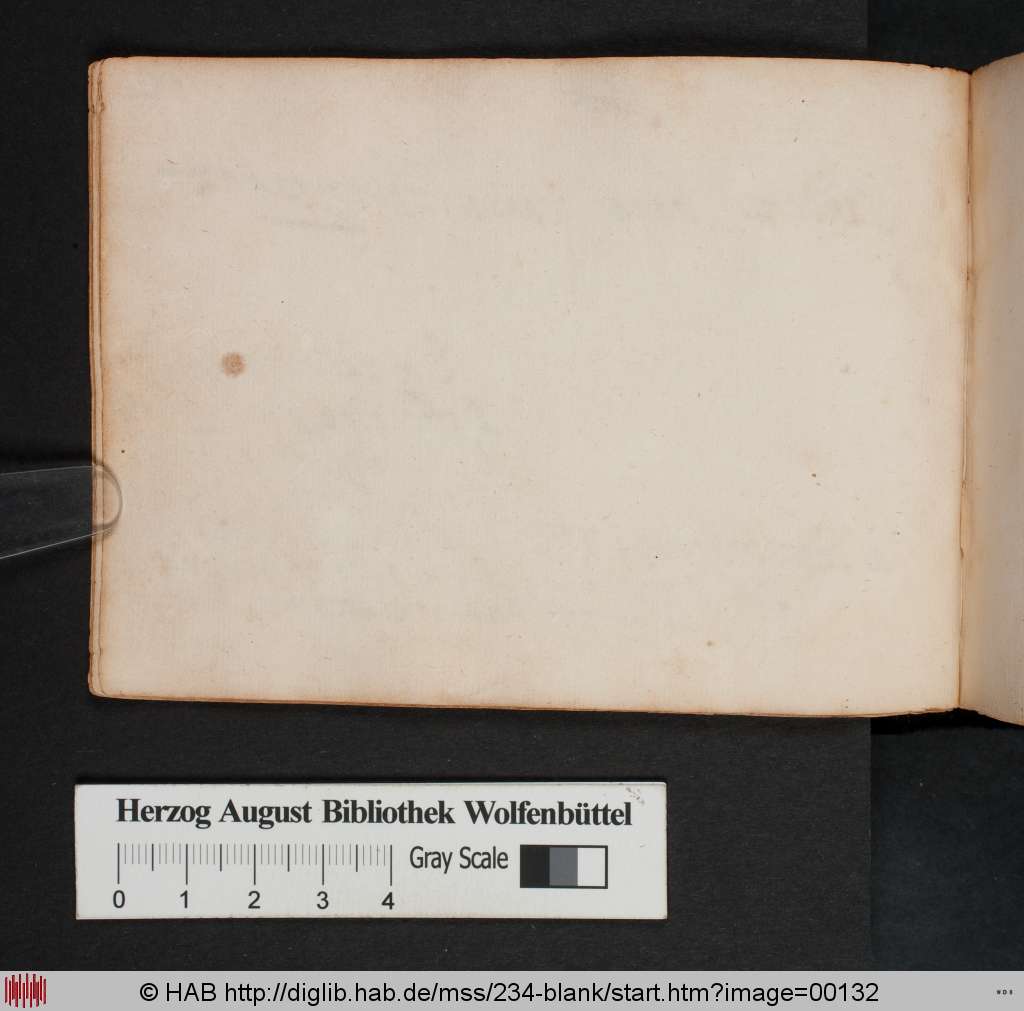 http://diglib.hab.de/mss/234-blank/00132.jpg