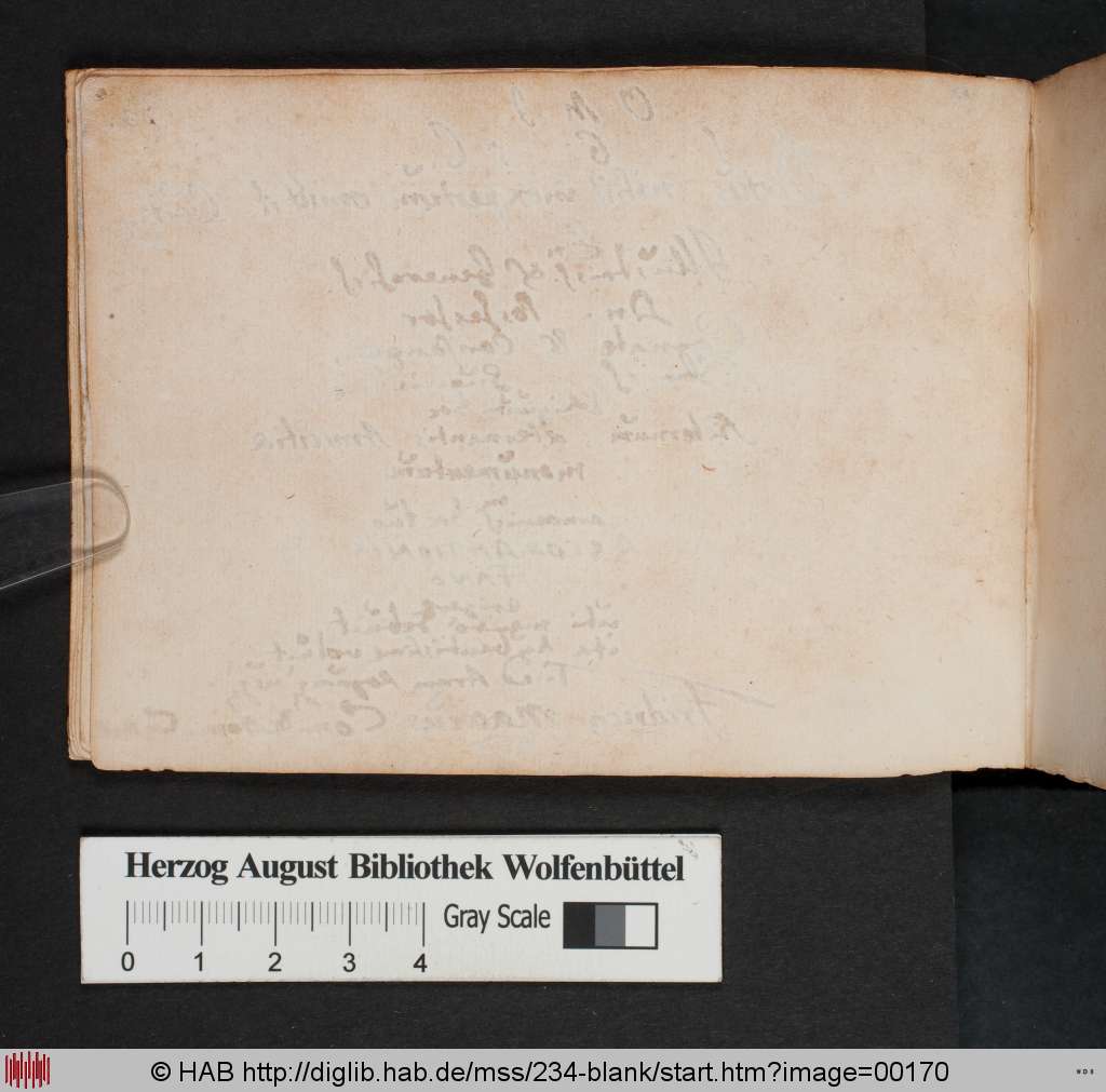http://diglib.hab.de/mss/234-blank/00170.jpg