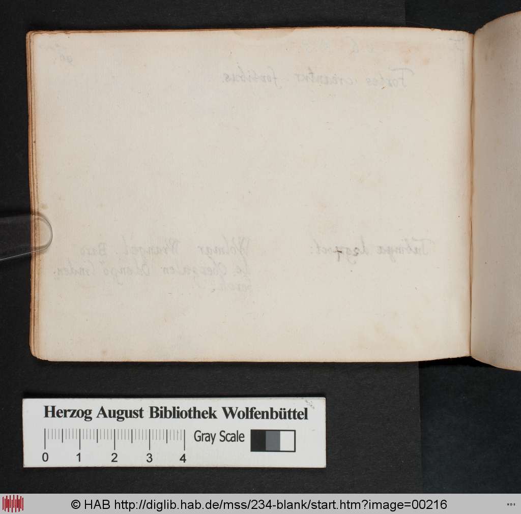 http://diglib.hab.de/mss/234-blank/00216.jpg