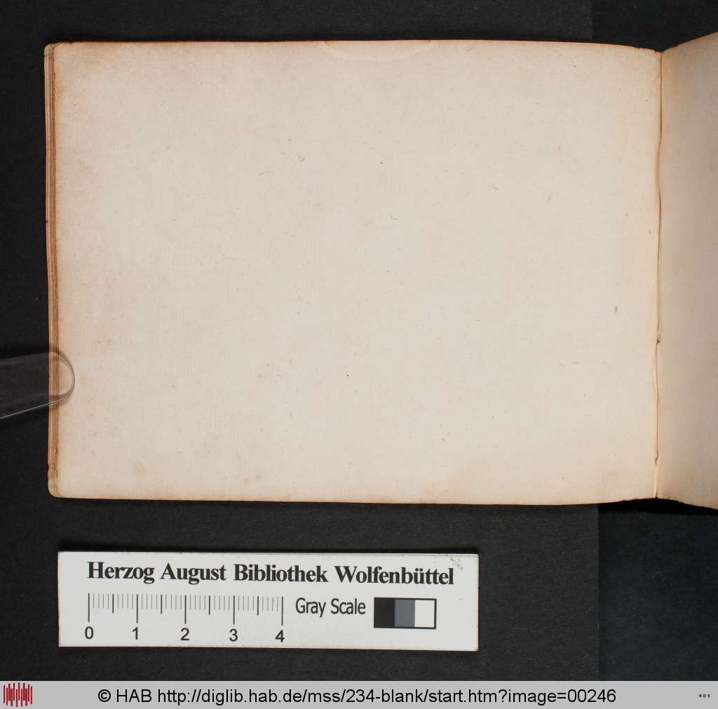 http://diglib.hab.de/mss/234-blank/00246.jpg