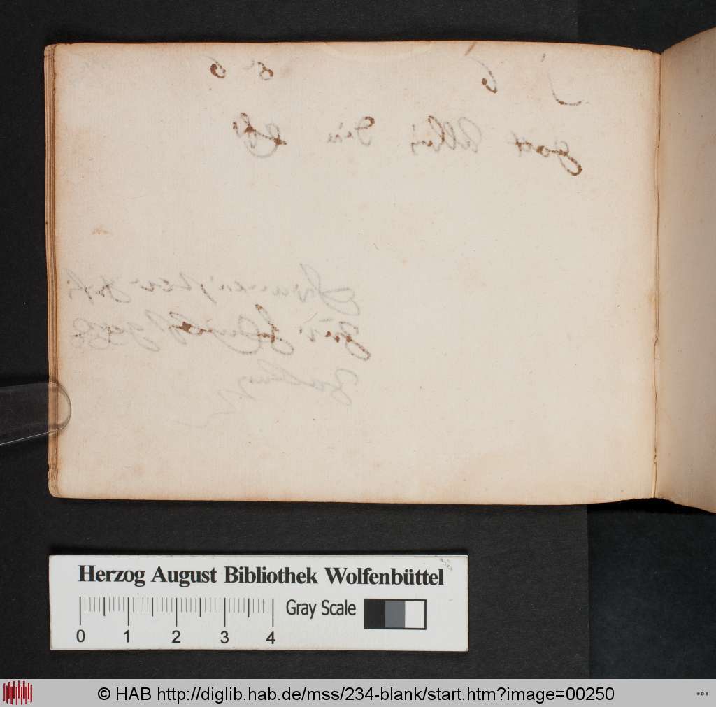 http://diglib.hab.de/mss/234-blank/00250.jpg