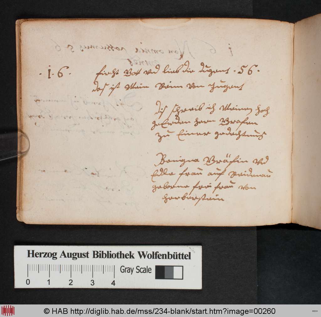 http://diglib.hab.de/mss/234-blank/00260.jpg