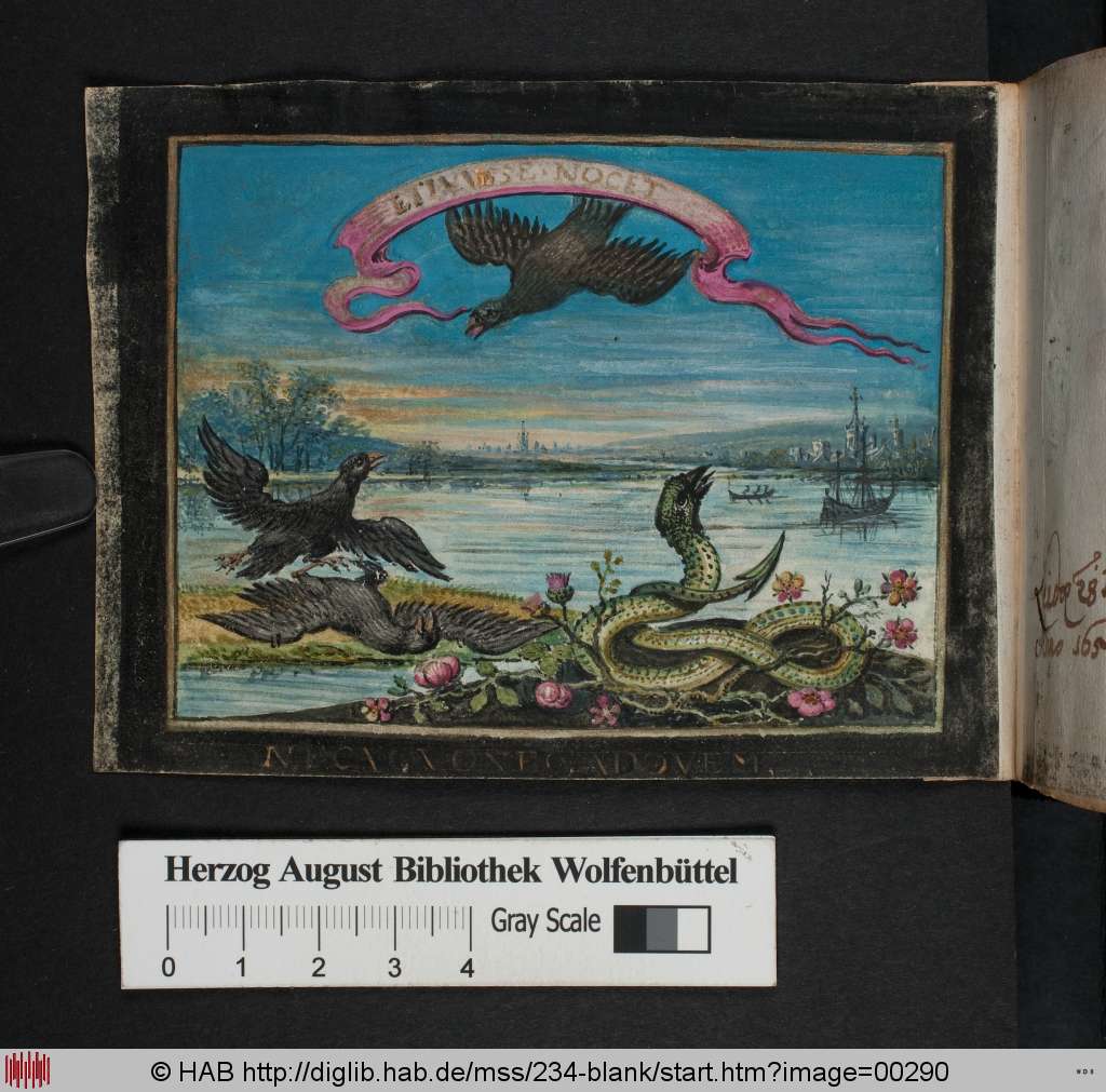 http://diglib.hab.de/mss/234-blank/00290.jpg