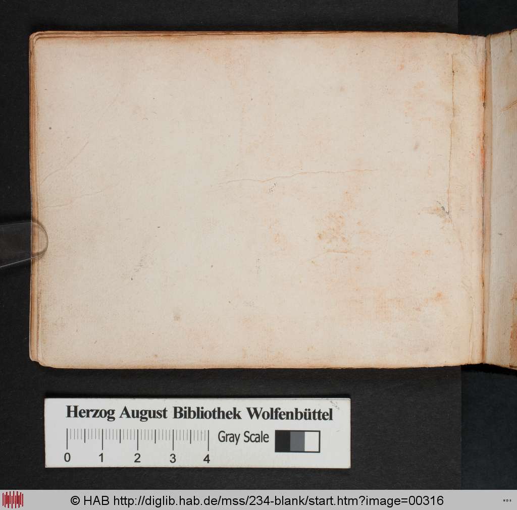 http://diglib.hab.de/mss/234-blank/00316.jpg