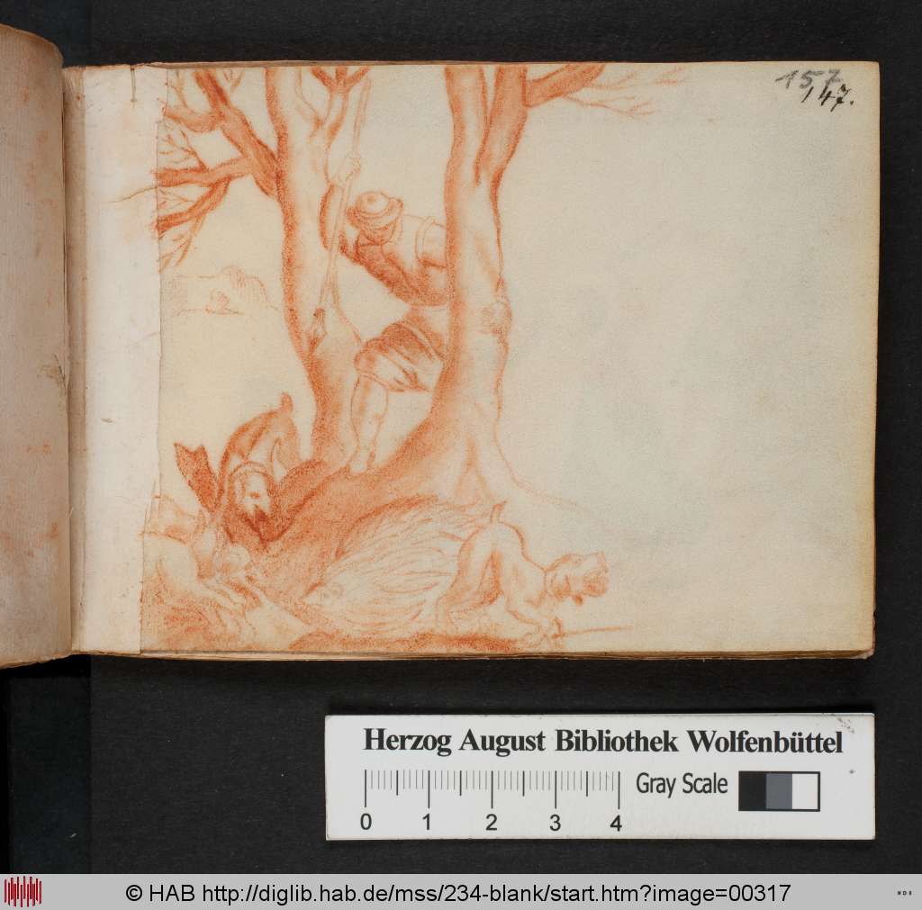 http://diglib.hab.de/mss/234-blank/00317.jpg