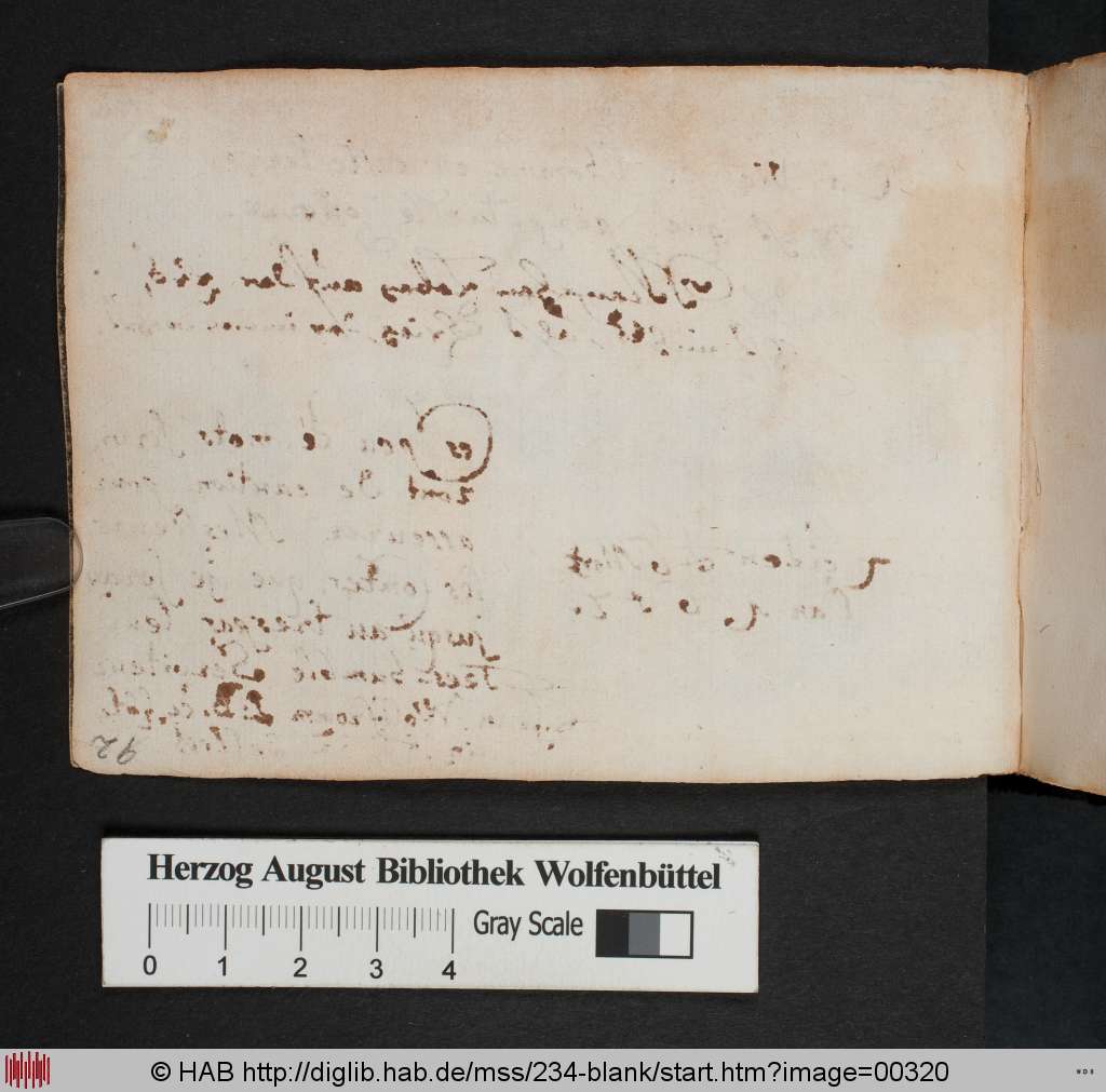 http://diglib.hab.de/mss/234-blank/00320.jpg