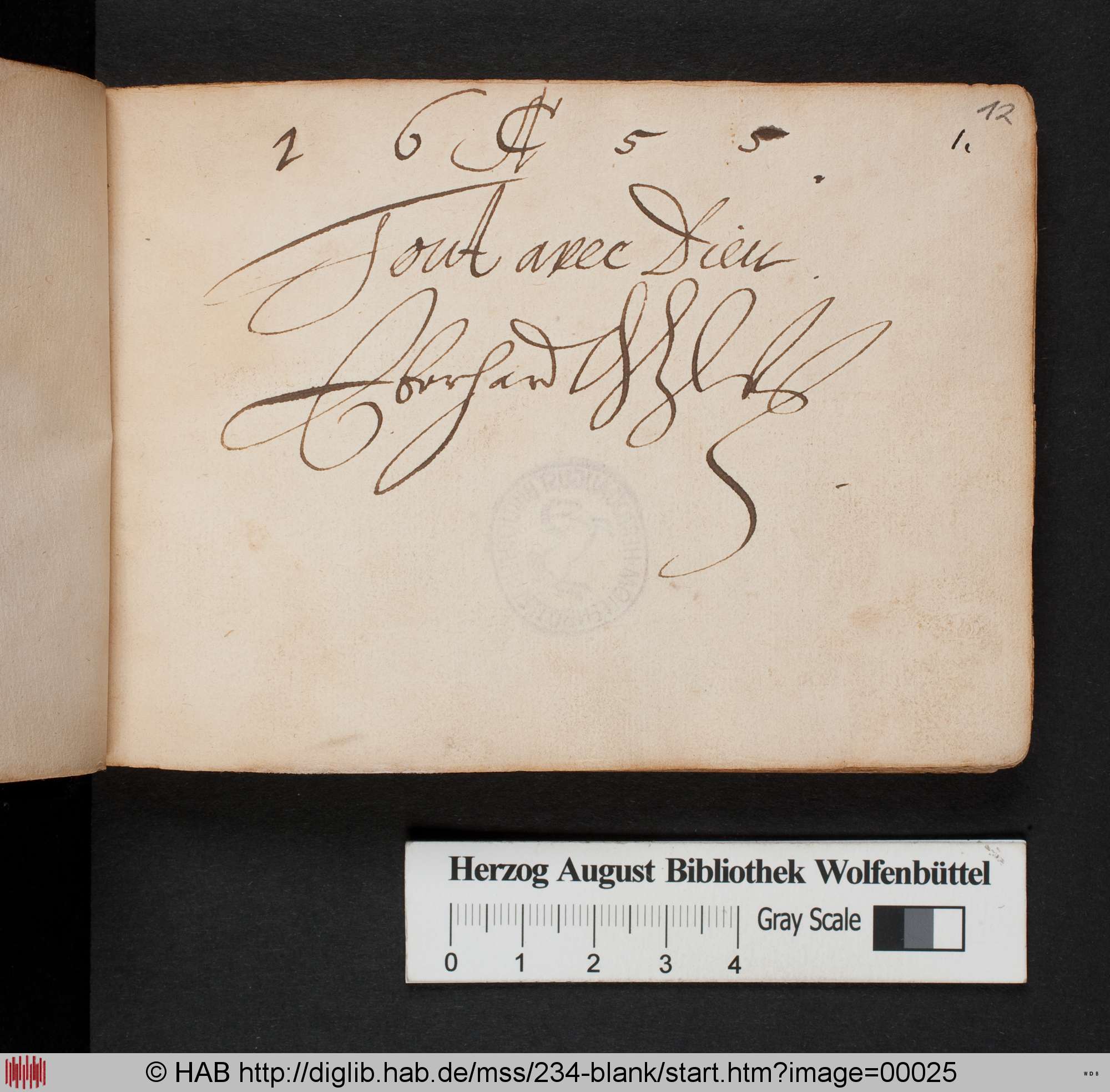 http://diglib.hab.de/mss/234-blank/max/00025.jpg