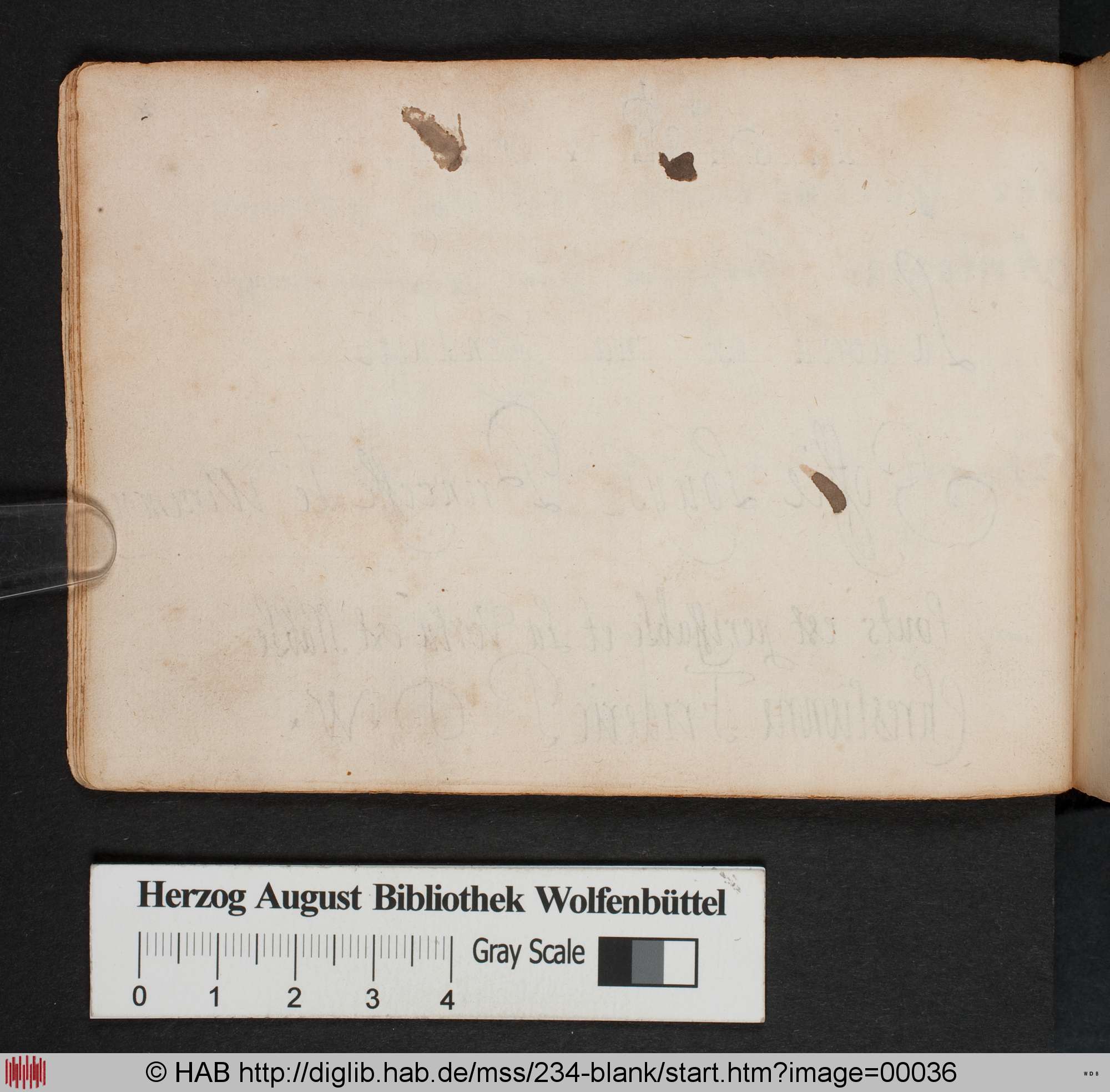 http://diglib.hab.de/mss/234-blank/max/00036.jpg
