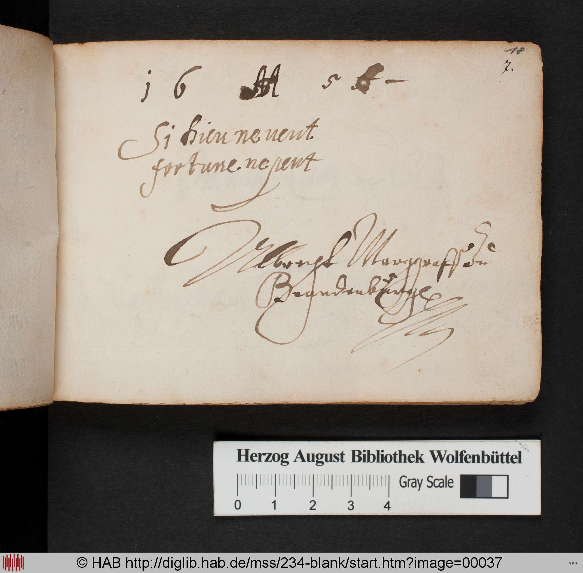 http://diglib.hab.de/mss/234-blank/max/00037.jpg