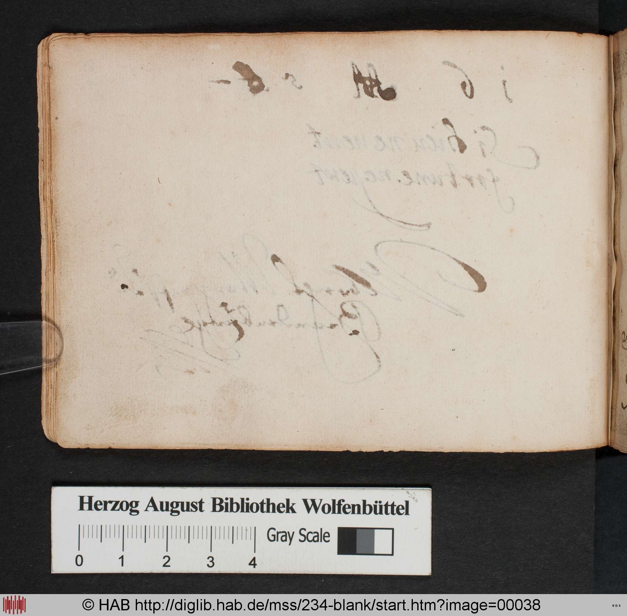 http://diglib.hab.de/mss/234-blank/max/00038.jpg