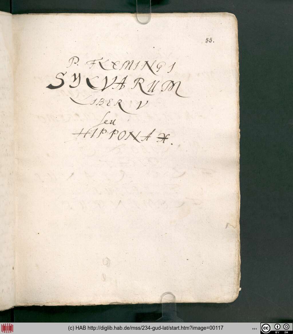 http://diglib.hab.de/mss/234-gud-lat/00117.jpg
