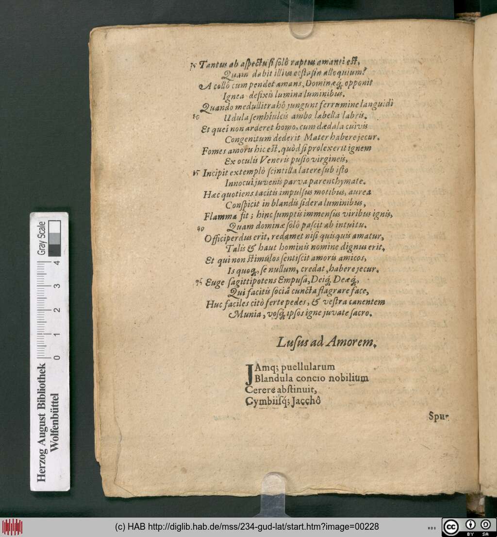 http://diglib.hab.de/mss/234-gud-lat/00228.jpg