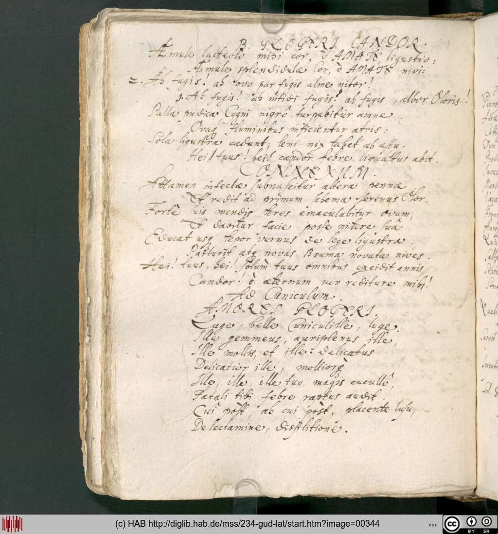 http://diglib.hab.de/mss/234-gud-lat/00344.jpg