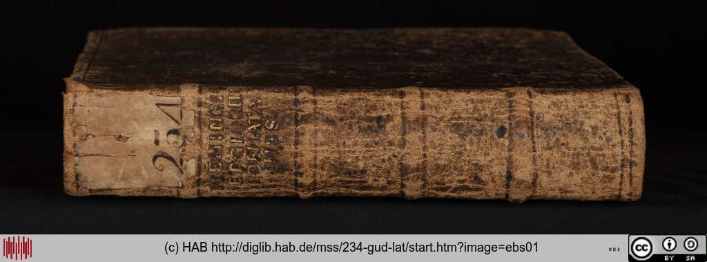 http://diglib.hab.de/mss/234-gud-lat/ebs01.jpg