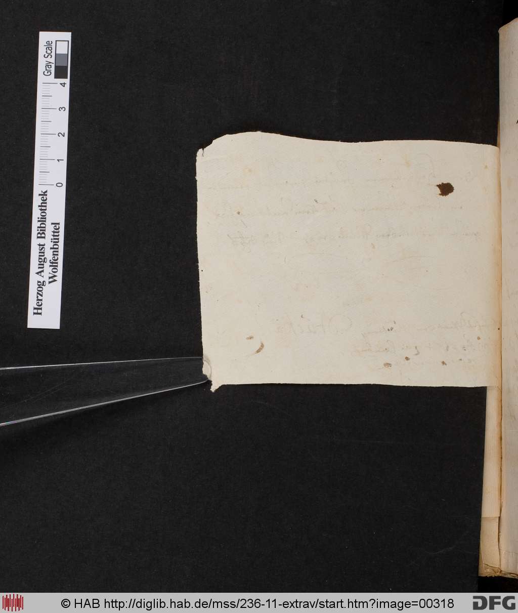 http://diglib.hab.de/mss/236-11-extrav/00318.jpg