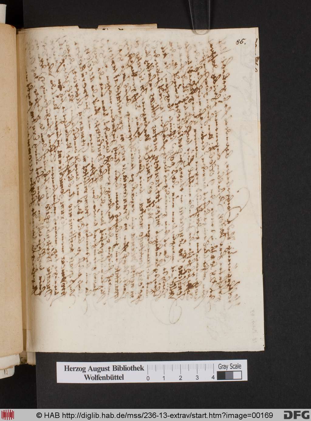 http://diglib.hab.de/mss/236-13-extrav/00169.jpg