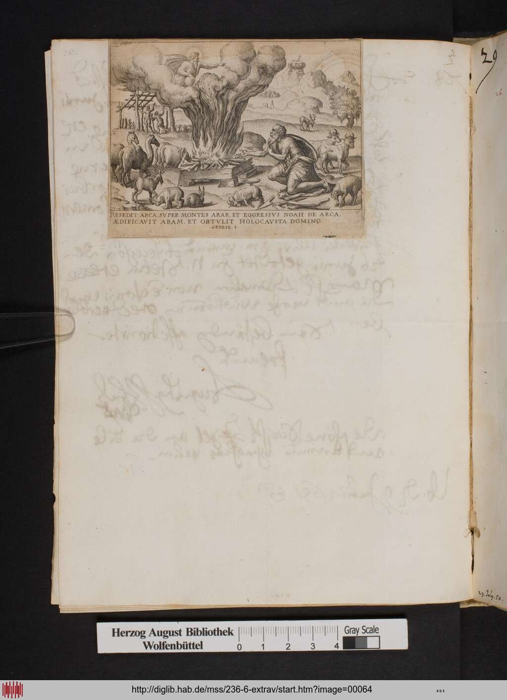 http://diglib.hab.de/mss/236-6-extrav/00064.jpg