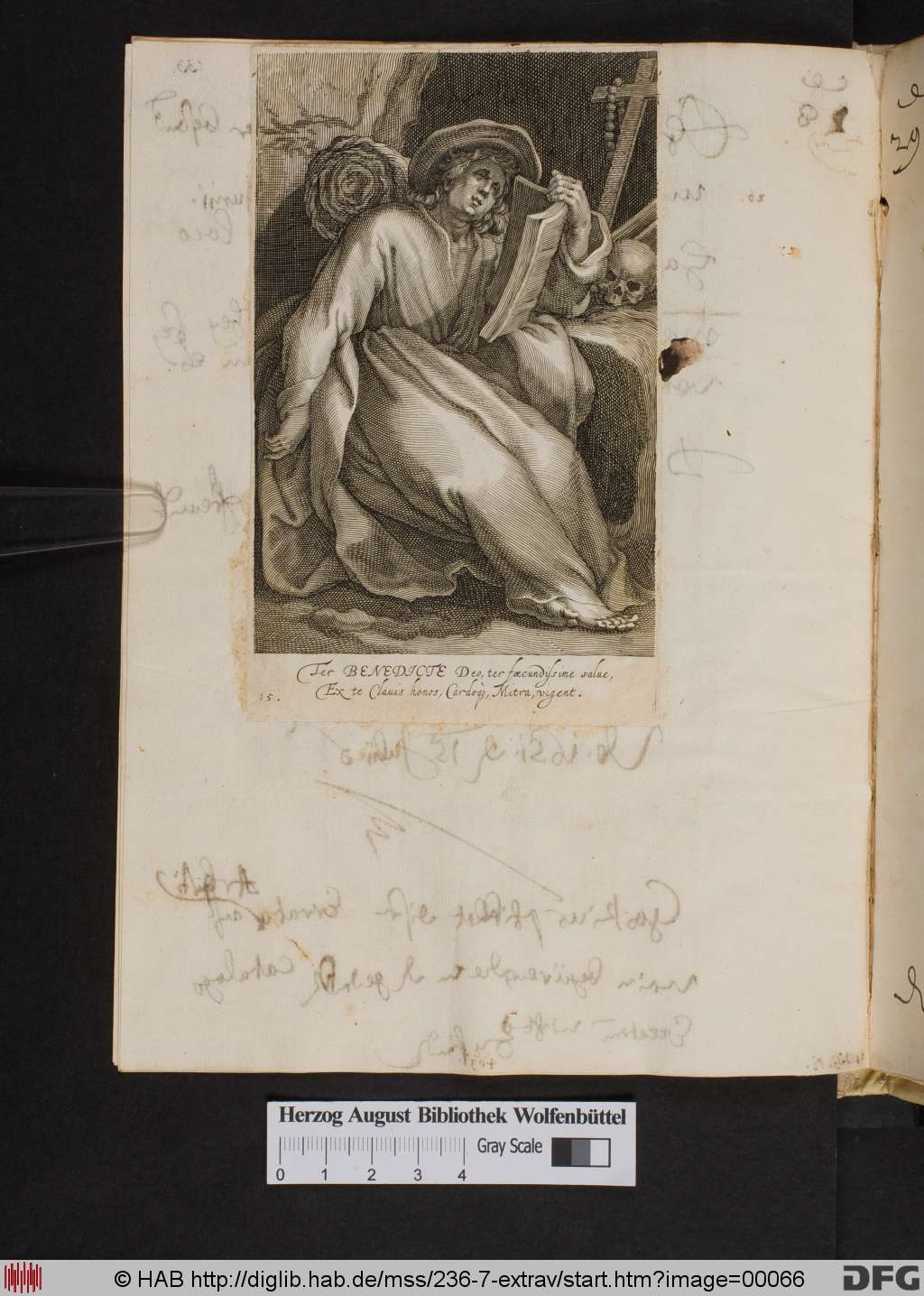 http://diglib.hab.de/mss/236-7-extrav/00066.jpg