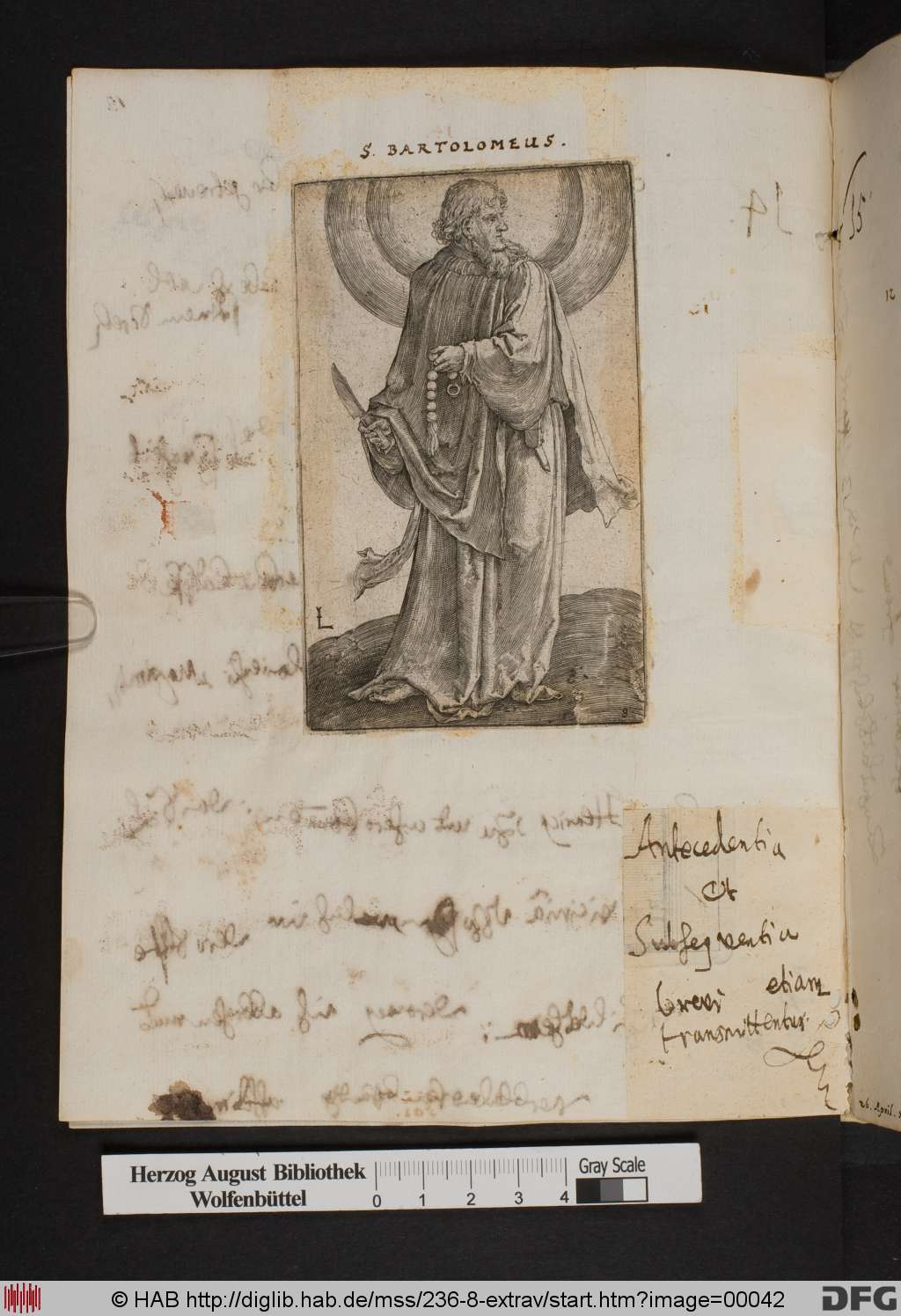 http://diglib.hab.de/mss/236-8-extrav/00042.jpg