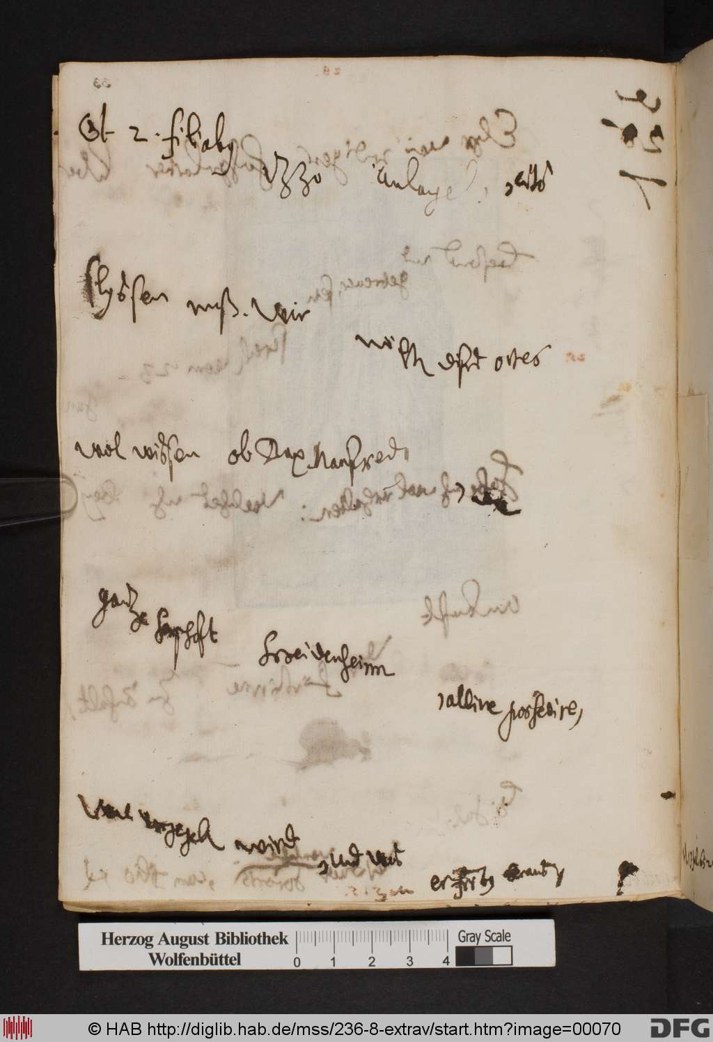 http://diglib.hab.de/mss/236-8-extrav/00070.jpg