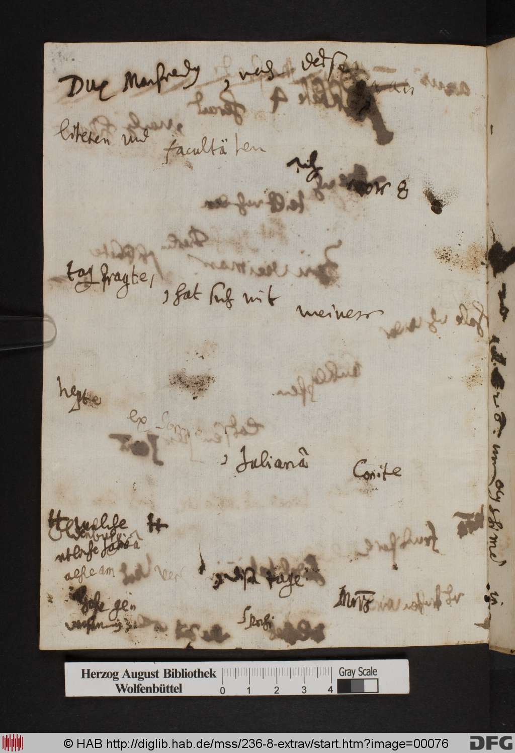 http://diglib.hab.de/mss/236-8-extrav/00076.jpg